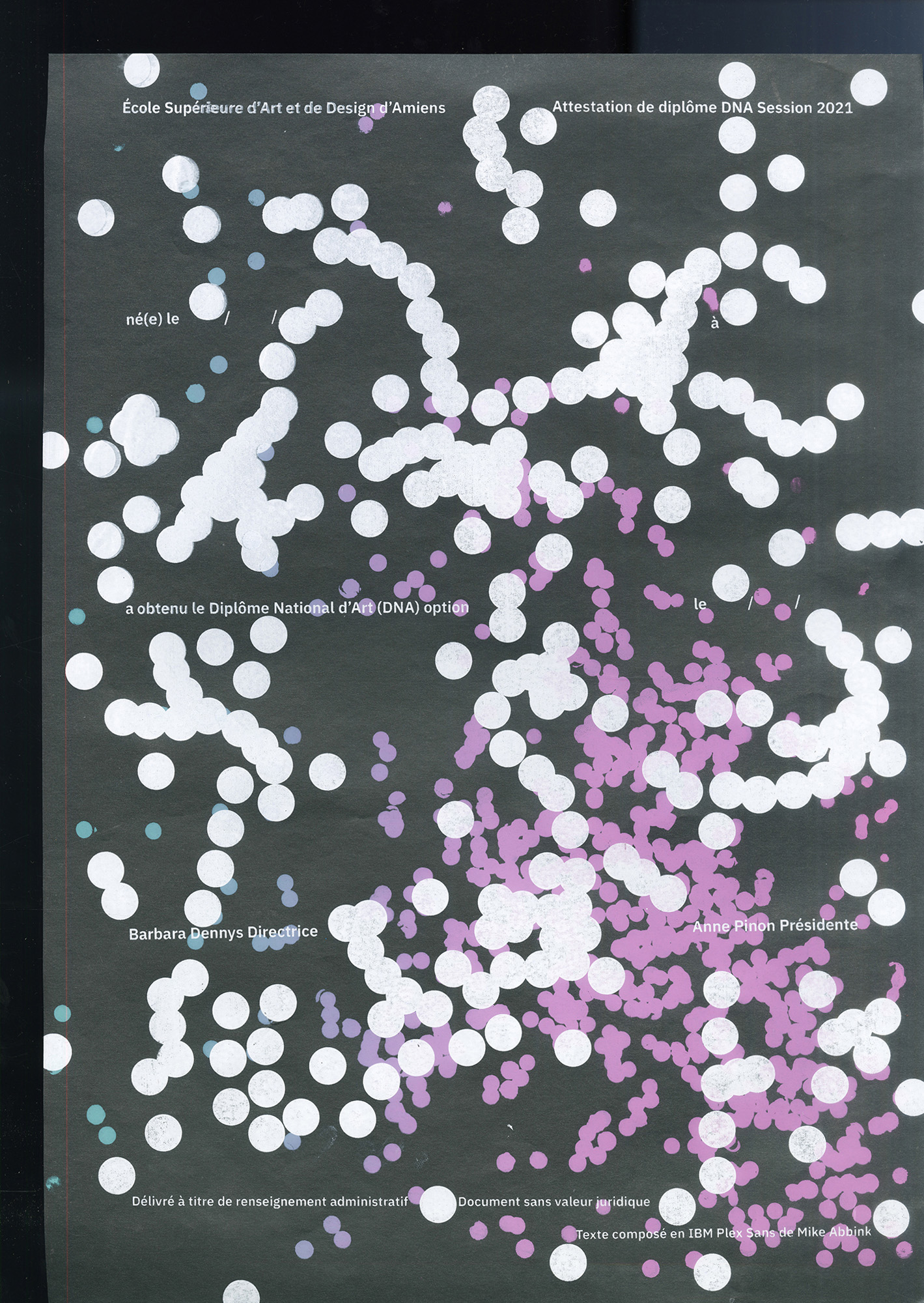 2/5 DIPLÔMES SÉRIGRAPHIÉS (DNA ET DNSEP), 2021    AVEC NOÉMIE ERB
