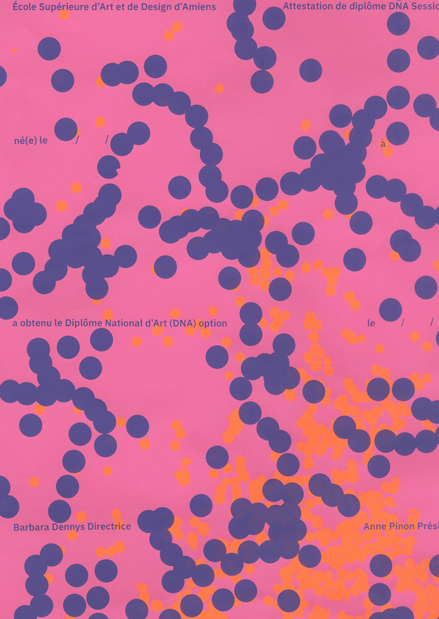 5/5 DIPLÔMES SÉRIGRAPHIÉS (DNA ET DNSEP), 2021    AVEC NOÉMIE ERB
